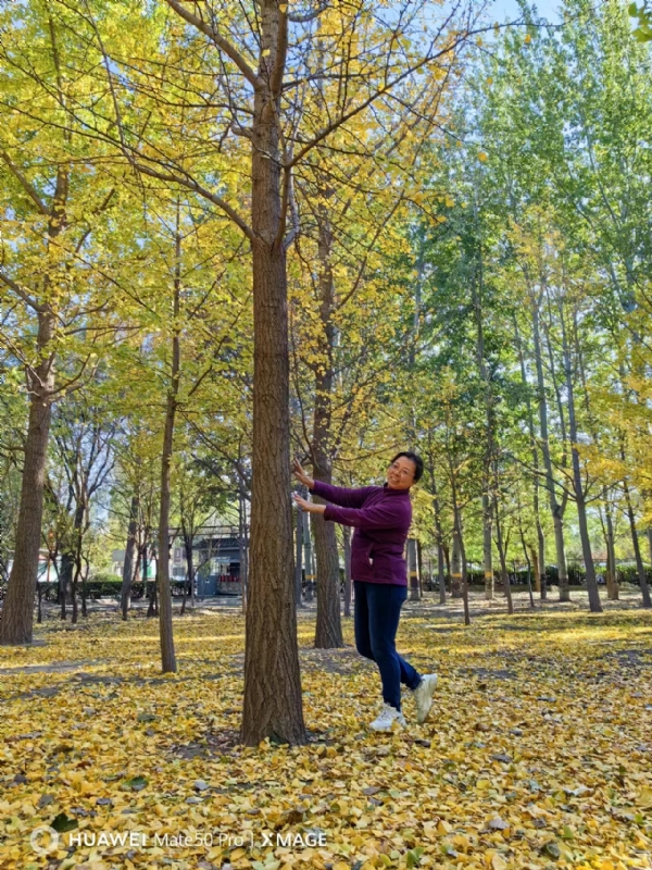 Shirley的第二张照片--北京交友中心